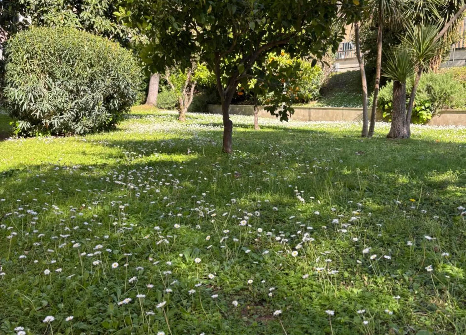 Grelly'S House - Holiday In Rome - 50 Meters From The Metro 0*,