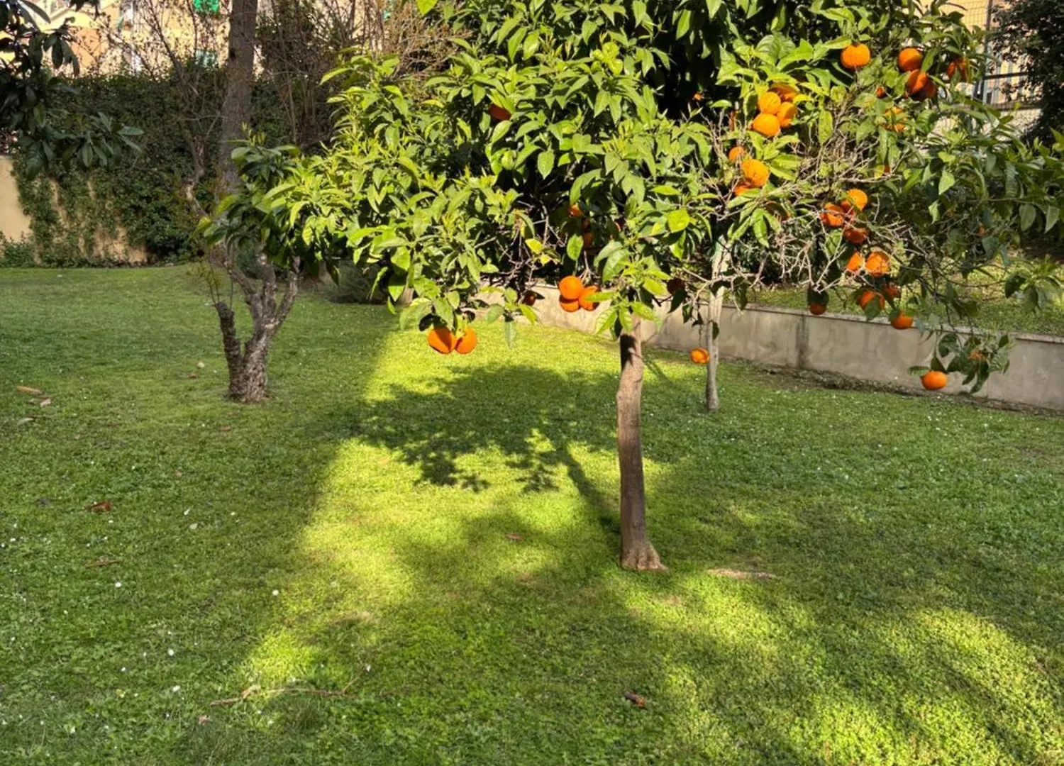Grelly'S House - Holiday In Rome - 50 Meters From The Metro Lägenhet